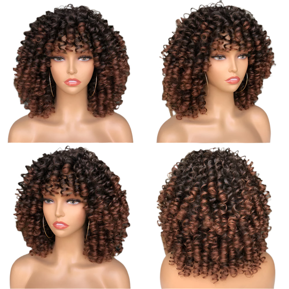Afro Kinky Curly Wig With Bangs